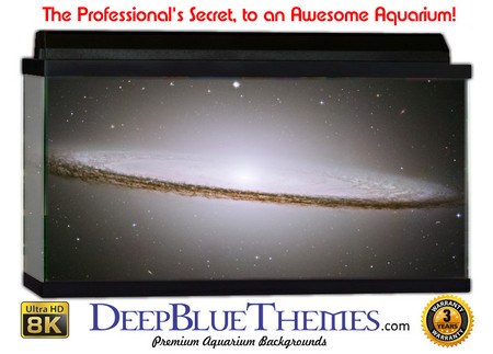 Buy Aquarium Background Space Bound Aquarium Background