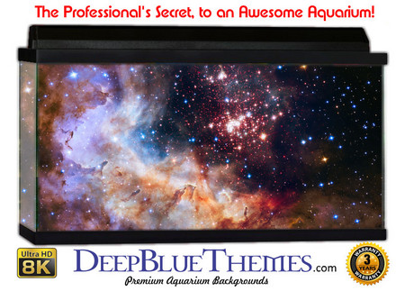 Buy Aquarium Background Space Crisp Aquarium Background