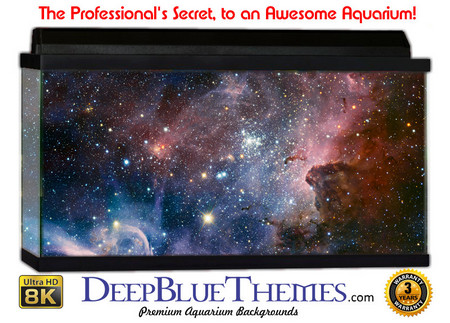 Buy Aquarium Background Space Forever Aquarium Background