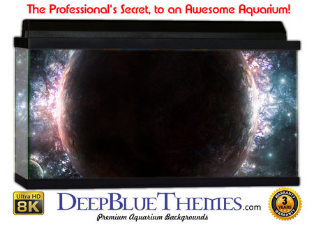 Buy Aquarium Background Space Hidden Aquarium Background