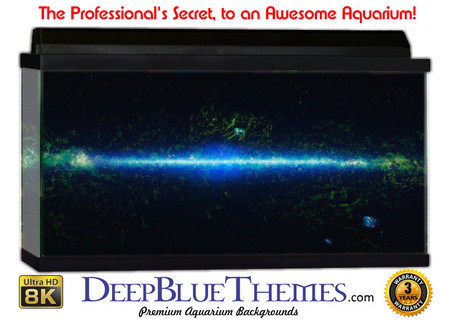 Buy Aquarium Background Space Horizontal Aquarium Background