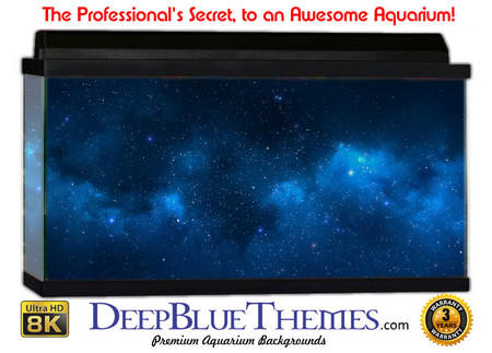 Buy Aquarium Background Space Map Aquarium Background