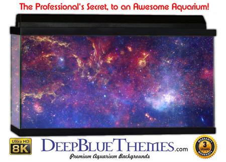 Buy Aquarium Background Space Purple Aquarium Background