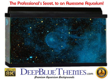 Buy Aquarium Background Space Vague Aquarium Background