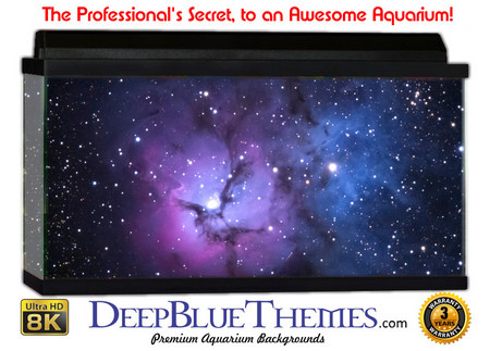 Buy Aquarium Background Space Violet Aquarium Background