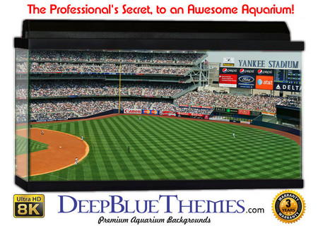 Buy Aquarium Background Stadium Upper Aquarium Background