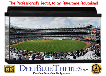 Buy Aquarium Background Stadium Yankee Aquarium Background
