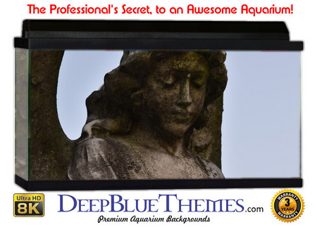 Buy Aquarium Background Statue Angel Aquarium Background
