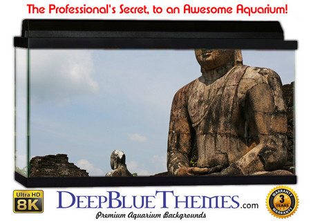 Buy Aquarium Background Statue Asian Aquarium Background