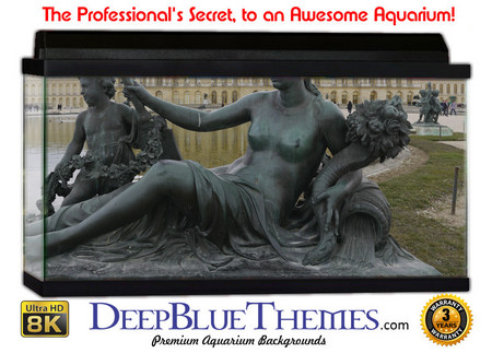 Buy Aquarium Background Statue Beautiful Aquarium Background