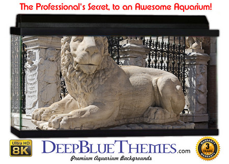 Buy Aquarium Background Statue Estate Aquarium Background