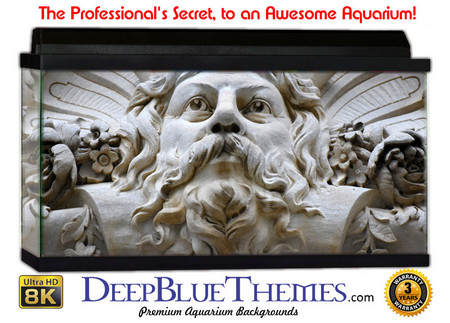 Buy Aquarium Background Statue Him Aquarium Background