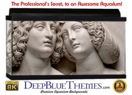 Buy Aquarium Background Statue Women Aquarium Background