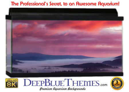 Buy Aquarium Background Sunset Mountain Aquarium Background