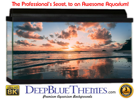 Buy Aquarium Background Sunset Ocean Aquarium Background