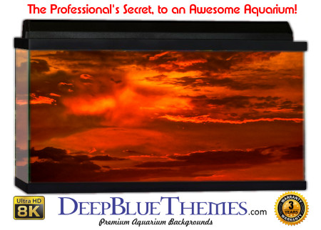 Buy Aquarium Background Sunset Ohio Aquarium Background