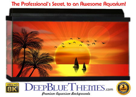 Buy Aquarium Background Sunset Paradise Aquarium Background