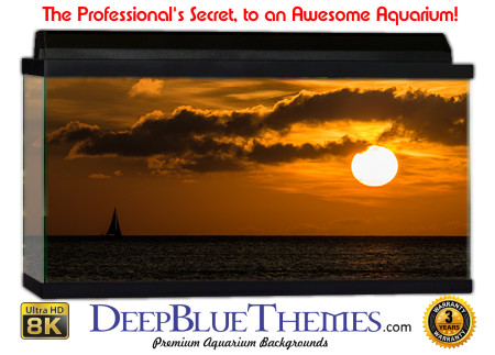 Buy Aquarium Background Sunset Sail Aquarium Background
