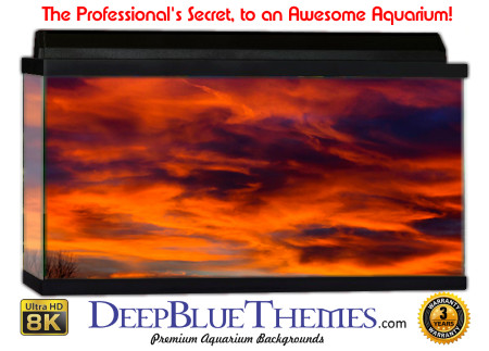 Buy Aquarium Background Sunset Valley Aquarium Background