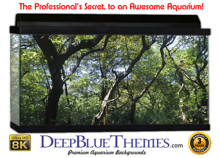 Buy Aquarium Background Swamp Branch Aquarium Background