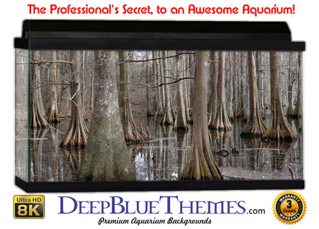 Buy Aquarium Background Swamp Dead Aquarium Background