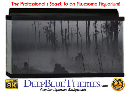 Buy Aquarium Background Swamp Gray Aquarium Background