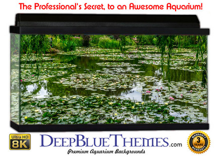 Buy Aquarium Background Swamp Lillies Aquarium Background
