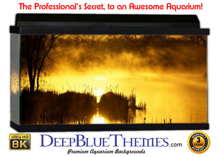 Buy Aquarium Background Swamp Sunset Aquarium Background