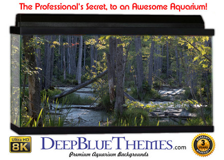 Buy Aquarium Background Swamp Trees Aquarium Background
