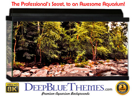 Buy Aquarium Background Swamp Wide Aquarium Background
