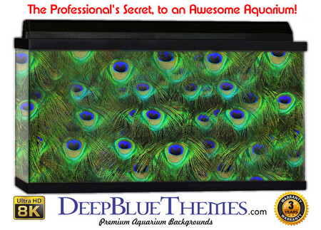 Buy Aquarium Background Texture Feather Aquarium Background