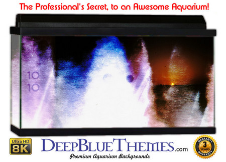 Buy Aquarium Background Texture Film Aquarium Background