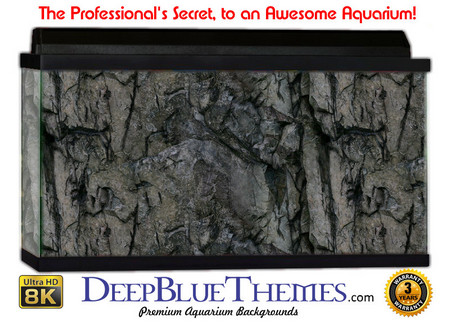 Buy Aquarium Background Texture Rock Aquarium Background