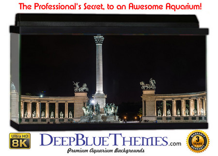 Buy Aquarium Background Travel Altar Aquarium Background