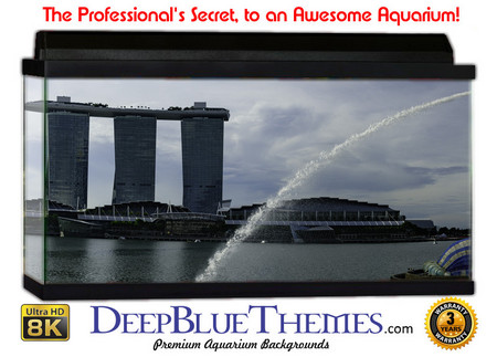 Buy Aquarium Background Travel Bay Aquarium Background