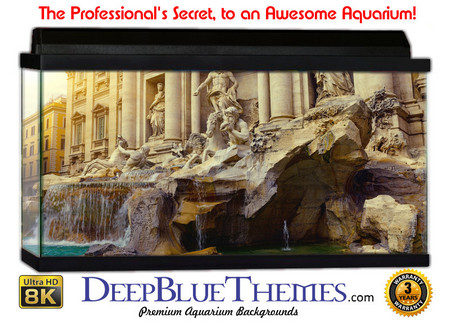 Buy Aquarium Background Travel Beautiful Aquarium Background