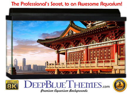 Buy Aquarium Background Travel China Aquarium Background
