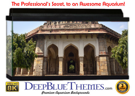 Buy Aquarium Background Travel Dome Aquarium Background