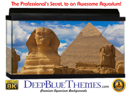 Buy Aquarium Background Travel Egypt Aquarium Background