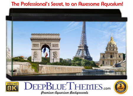 Buy Aquarium Background Travel Famous Aquarium Background