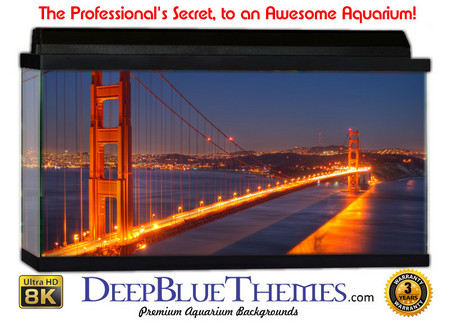 Buy Aquarium Background Travel Golden Aquarium Background