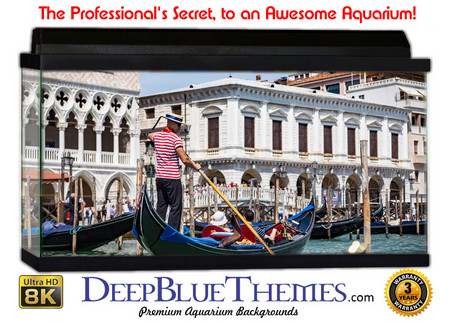 Buy Aquarium Background Travel Gondola Aquarium Background