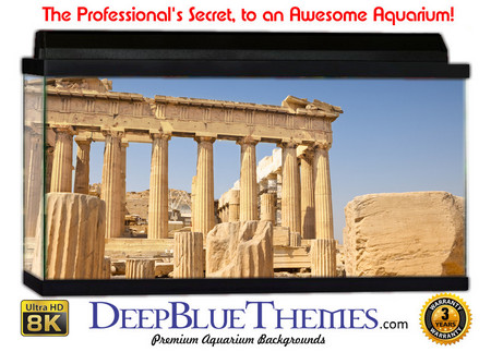 Buy Aquarium Background Travel History Aquarium Background