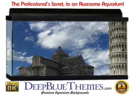 Buy Aquarium Background Travel Leaning Aquarium Background