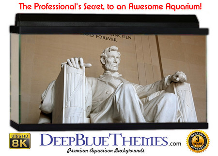 Buy Aquarium Background Travel Memorial Aquarium Background