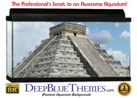 Buy Aquarium Background Travel Pyramid Aquarium Background