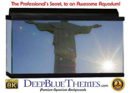 Buy Aquarium Background Travel Rio Aquarium Background