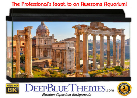 Buy Aquarium Background Travel Romono Aquarium Background