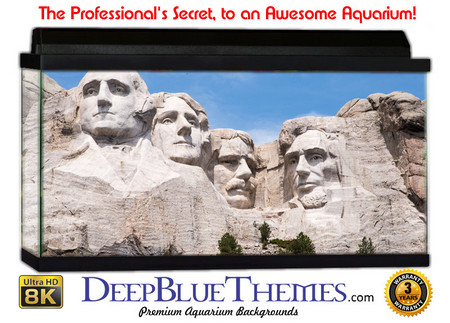 Buy Aquarium Background Travel Rushmore Aquarium Background