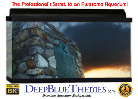 Buy Aquarium Background Travel Sea Aquarium Background